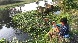 Hook Fishing ~ Traditional Hook Fishing - Village Daily Life (Part-146)