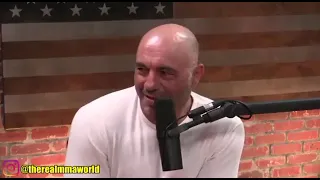 Joe Rogan & Mike Perry Disagree on the N Word