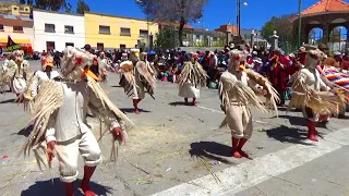 Danza del LIQI LIQI, Teru Teru Bioindicador Natural, ESFM Santiago Huata