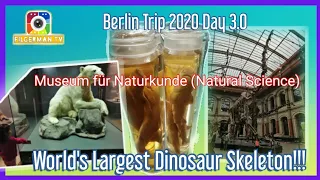 NATURKUNDEMUSEUM (NATURAL SCIENCE MUSEUM) / BERLIN TRIP 2020 DAY 3.0