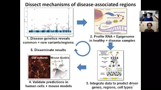 UCL AI in Medicine Manolis Kellis (February 3, 2021)