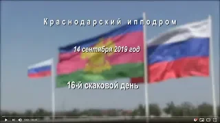 Видео 16 скаковой день - 14.09.2019г. Краснодарский ипподром