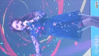 181208 설하윤 직캠- 눌러주세요 [화천 평화이음토요콘서트] fancam