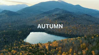 iPhone 11 Pro Cinematic 4K - Autumn Adventures