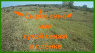 А если замотать сено в плёнку? Смотрим очень сухой сенаж. Или же сырое сено?