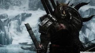 Skyrim - Меня улыбают эти каджиты