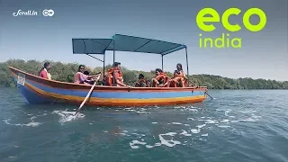 Eco India: How tourism is aiding fisherwomen to preserve mangroves in the backwaters of Vengurla