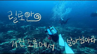 릴로안 Ep1  거친조류에서 살아남아라(with 거북이) / Survive against strong currents Liloan Ep1