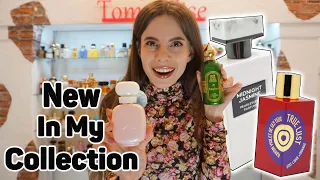 5 NEW PERFUMES in MY PERFUME COLLECTION | Tommelise