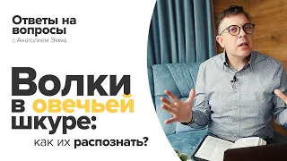 Волки в овечьей шкуре: как их распознать?