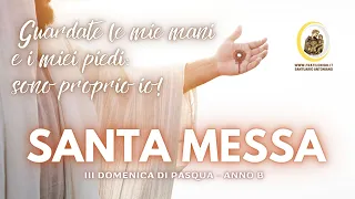 Santa Messa III Domenica di Pasqua - Anno B - 14 Aprile 2024