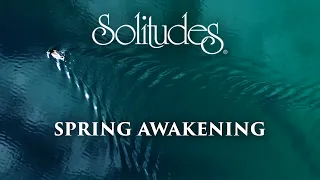 Dan Gibson’s Solitudes - Myriad Greens | Spring Awakening