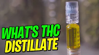 What's THC Distillate | Cooking with THC Distillate ( Common questions answer)