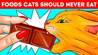 Why Pets Can't Have Chocolate And Other Animal Secrets