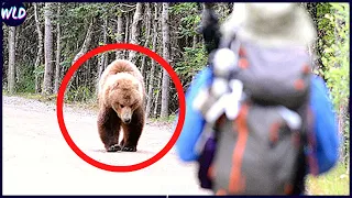 12 Wild Animal Encounters That Will Give You The Chills!