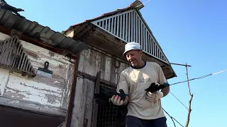 Николаевские голуби. В гостях у Анатолия Петровича. Часть 2