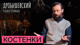 Cамая древняя стоянка человека на европейском континенте: Костёнки // Дробышевский. Человек разумный