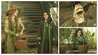 Hogwarts Legacy (PC) - First Herbology Class (Mandrakes, Dittany, and Chinese Chomping Cabbages)