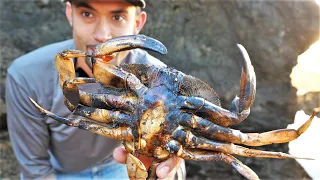 Catch and Cook: Fire Roasted Crab on a Cliff!