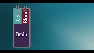 "Introduction to Traumatic Brain Injury" by Lisa DelSignore, MD for OPENPediatrics