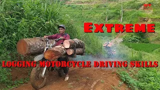 Extreme Dangerous Huge Wood Logging Motorcycle Driving Skill, Amazing