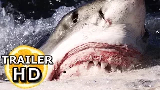 47 METERS DOWN (2017) Mandy Moore - KILLER SHARK Movie HD