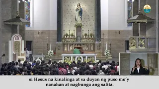 Sunday Mass at the Manila Cathedral - July 02, 2023 (8:00am)