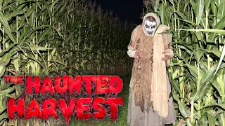 Terrifying Haunted Cornfield maze & Haunted horror house walkthrough at The Haunted Harvest!