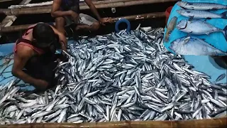 Basnig| Palawan night fishing.