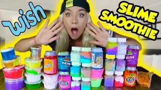 MIXING $1 DOLLAR WISH SLIMES! GIANT SLIME SMOOTHIE! SATISFYING SLIME | NICOLE SKYES