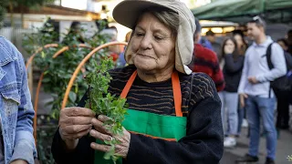 Urban Gardens in Chile "Peñaflor Verde y Saludable