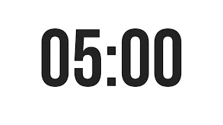5 MINUTE TIMER - COUNTDOWN TIMER (MINIMAL)