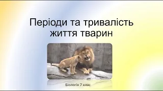 Біологія. Тварини. Періоди та тривалість життя тварин