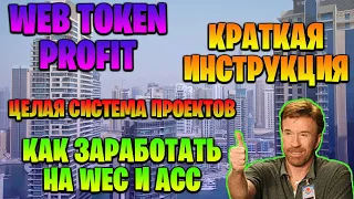 WEB TOKEN PROFIT - целая система проектов, как зарабатывать на WEC и ACC?