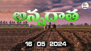 అన్నదాత | 16th May 2024 | Annadata | Full Bulletin | ETV Andhra Pradesh