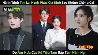 Hành Trình Tìm Lại Hạnh Phúc Gia Đình Sau Những Chông Gai Do Âm Mưu Của Kẻ Tiểu Tam Rắp Tâm Hãm Hại