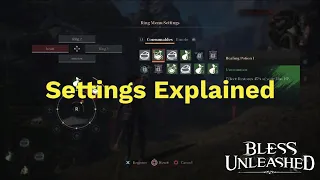 Settings Explained | Bless Unleashed