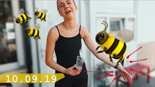 10.09 🐝 УЖАЛИЛА ОСА 😭 УЧЕБА В КОЛЛЕДЖЕ || Такой себе фильм