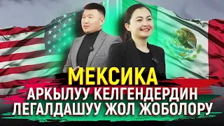 АКШга Мексика менен келгендер алданып калышууда.