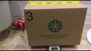 Стартовый набор для новичков в подарок от Гринлиф #Greenleaf