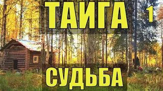 ЗАБРОШЕННАЯ ИЗБА ЛЕСНИКА ОТШЕЛЬНИК ХОЗЯИН в ТАЙГЕ СУДЬБА ИСТОРИИ из ЖИЗНИ в ЛЕСУ в ДЕРЕВНЕ РАССКАЗ 1