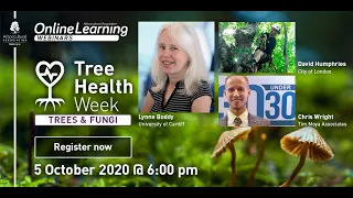 Tree Health Week: Trees & Fungi with Lynne Boddy, David Humphries and Christopher Wright