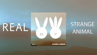 Strange Animal - Real (Lyric video)