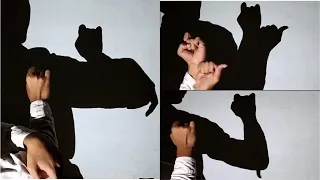 How to make cat by hand shadow III Animal Hand Shadow performance