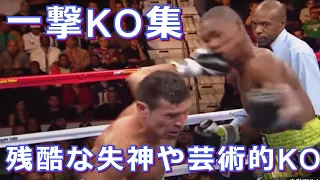 【衝撃の一撃KO】戦慄が走った失神KOや美しいKO集・ボクシング