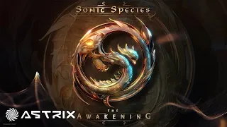 Astrix & Ace Ventura - Valley Of Stevie (Sonic Species Remix)