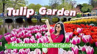 Tulip Garden Keukenhof Netherlands #tulip #tulipfields #netherlands  #amsterdam #tulips #europe
