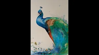 Watercolour and Brusho Peacock Tutorial