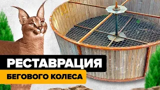 Реставрация бегового колеса для каракалов☺️🔨 Restoration of a cats wheel😺🪚⚙️