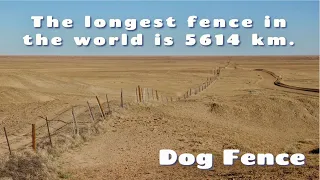 The longest fence in the world.